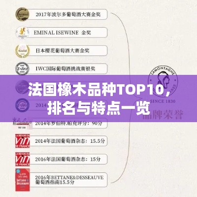 法國橡木品種TOP10，排名與特點(diǎn)一覽