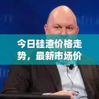 今日硅渣價格走勢，最新市場價格分析與預測
