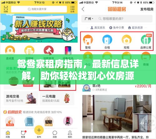 鴛鴦?wù)夥恐改?，最新信息詳解，助你輕松找到心儀房源