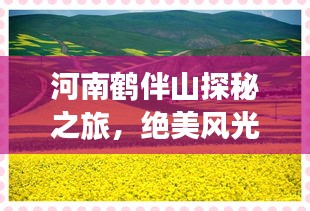 河南鶴伴山探秘之旅，絕美風(fēng)光與深度體驗(yàn)攻略