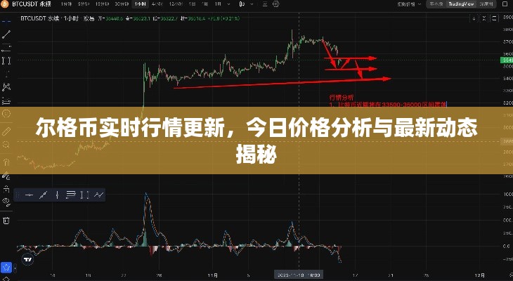 爾格幣實(shí)時行情更新，今日價(jià)格分析與最新動態(tài)揭秘