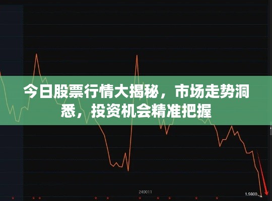 今日股票行情大揭秘，市場走勢洞悉，投資機會精準把握