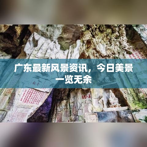 廣東最新風(fēng)景資訊，今日美景一覽無余