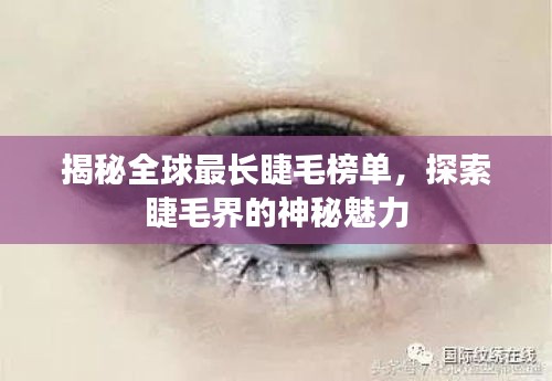 揭秘全球最長睫毛榜單，探索睫毛界的神秘魅力