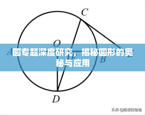 圓專(zhuān)題深度研究，揭秘圓形的奧秘與應(yīng)用