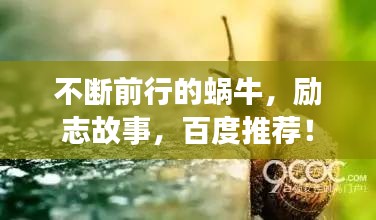 不斷前行的蝸牛，勵(lì)志故事，百度推薦！