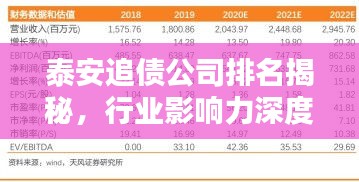 泰安追債公司排名揭秘，行業(yè)影響力深度解析