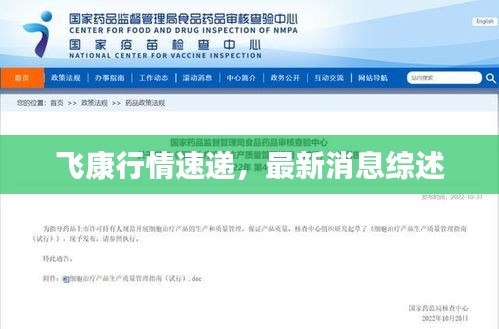 飛康行情速遞，最新消息綜述