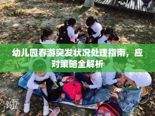 幼兒園春游突發(fā)狀況處理指南，應(yīng)對(duì)策略全解析