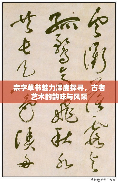 宗字草書魅力深度探尋，古老藝術(shù)的韻味與風(fēng)采