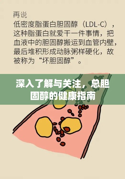 深入了解與關(guān)注，總膽固醇的健康指南