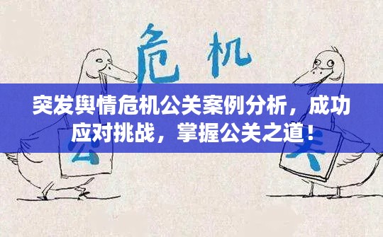 突發(fā)輿情危機公關(guān)案例分析，成功應(yīng)對挑戰(zhàn)，掌握公關(guān)之道！