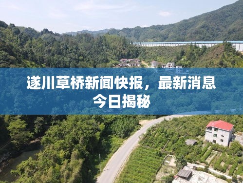 遂川草橋新聞快報，最新消息今日揭秘