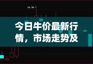 今日牛價(jià)最新行情，市場(chǎng)走勢(shì)及影響因素深度解析