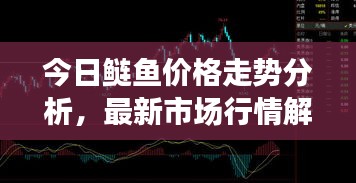 今日鰱魚價格走勢分析，最新市場行情解讀