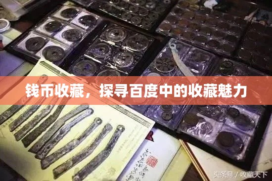 錢幣收藏，探尋百度中的收藏魅力