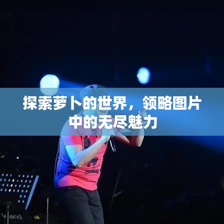探索蘿卜的世界，領(lǐng)略圖片中的無(wú)盡魅力