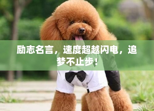 勵(lì)志名言，速度超越閃電，追夢不止步！