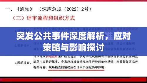 突發(fā)公共事件深度解析，應(yīng)對(duì)策略與影響探討