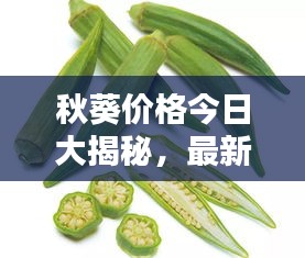 秋葵價格今日大揭秘，最新行情一網(wǎng)打盡