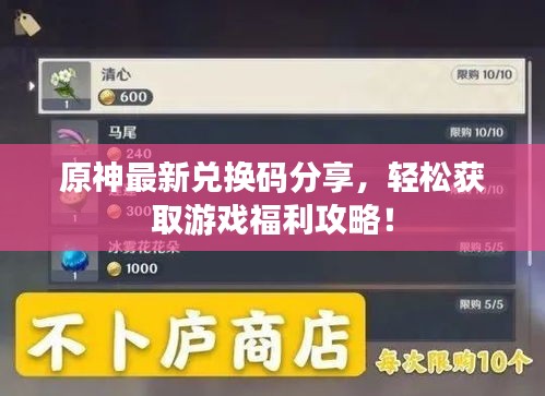 原神最新兌換碼分享，輕松獲取游戲福利攻略！