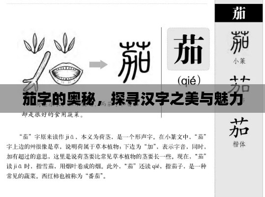 茄字的奧秘，探尋漢字之美與魅力