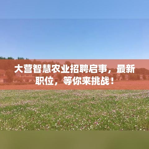 大營智慧農(nóng)業(yè)招聘啟事，最新職位，等你來挑戰(zhàn)！