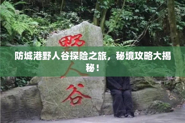 防城港野人谷探險之旅，秘境攻略大揭秘！