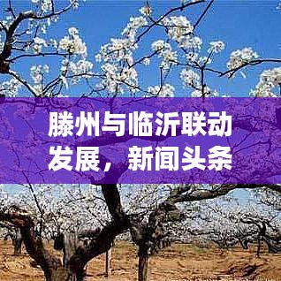 滕州與臨沂聯(lián)動(dòng)發(fā)展，新聞?lì)^條下的區(qū)域合作新篇章