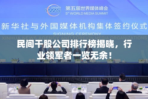 民間干股公司排行榜揭曉，行業(yè)領(lǐng)軍者一覽無余！