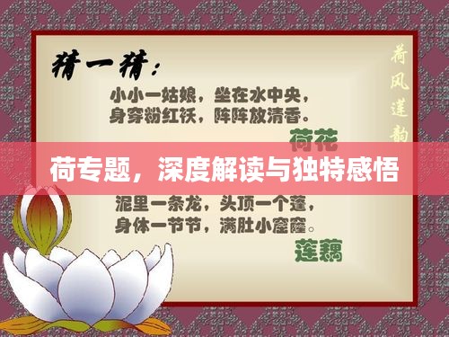 荷專題，深度解讀與獨特感悟
