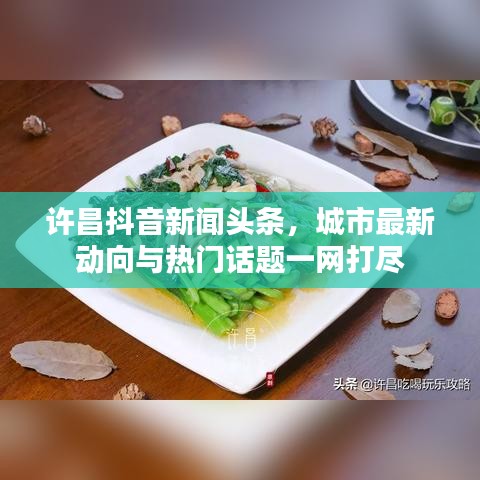 許昌抖音新聞?lì)^條，城市最新動(dòng)向與熱門話題一網(wǎng)打盡