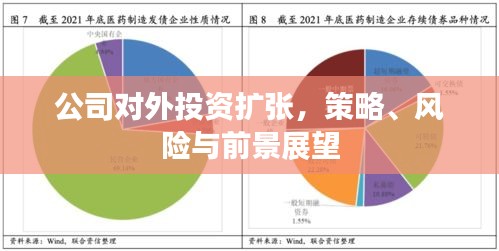 公司對外投資擴張，策略、風險與前景展望