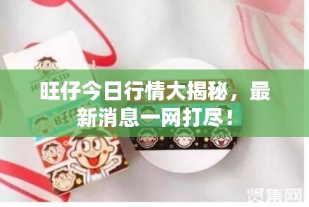 旺仔今日行情大揭秘，最新消息一網(wǎng)打盡！